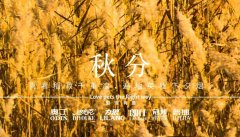 秋分丨晝夜分畫，漸入秋華