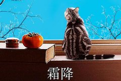 霜降丨縱然霜華盡染，心中美好如初